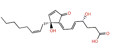 (4R,5E,7Z,12S,14Z)-4,12-Dihydroxy-9-oxo-5,7,10,14-prostatetraenoic acid